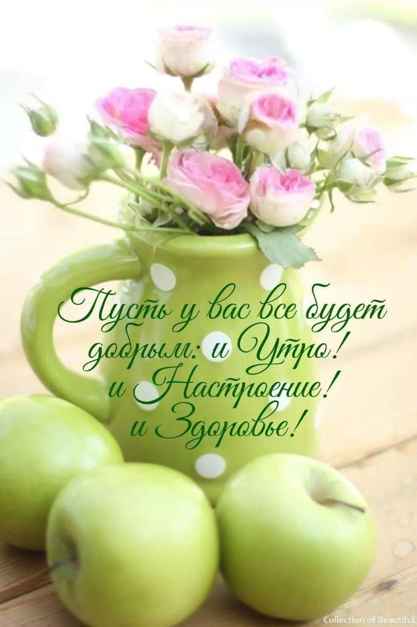 Пусть у вас все будет добрым: и Утро! и Настроение! и Здоровье!