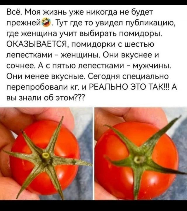Всё. Моя жизнь уже никогда не будет прежней. Тут где-то увидел публикацию, где женщина учит выбирать помидоры. Оказывается, помидорки с шестью лепестками – женщины. Они вкуснее и сочнее. А с пятью лепестками – мужчины. Они менее вкусные. Сегодня специально перепробовали кг. и реально это так!!! А вы знали об этом???
