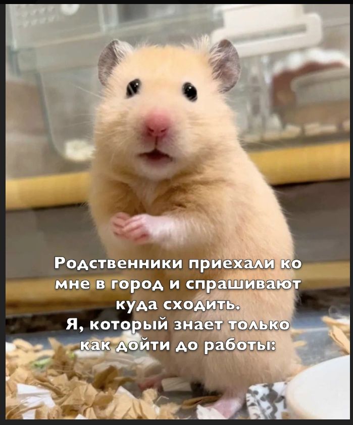 Родственники приехали ко мне в город и спрашивают куда сходить. Я, который знает только как дойти до работы: