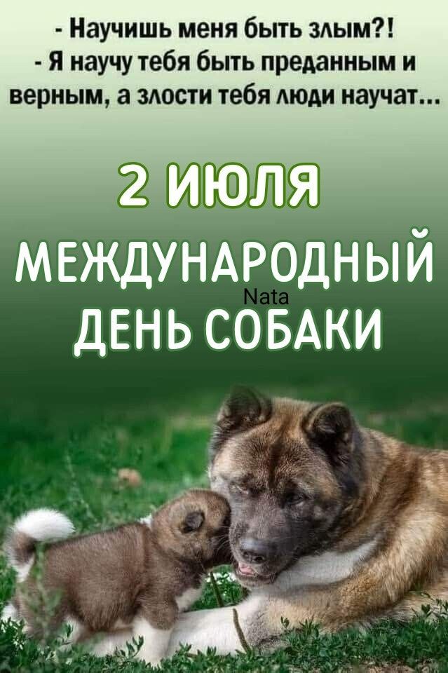 Научишь меня быть злым?! Я научу тебя быть преданным и верным, а злости тебя люди научат... 2 ИЮЛЯ МЕЖДУНАРОДНЫЙ ДЕНЬ СОБАКИ