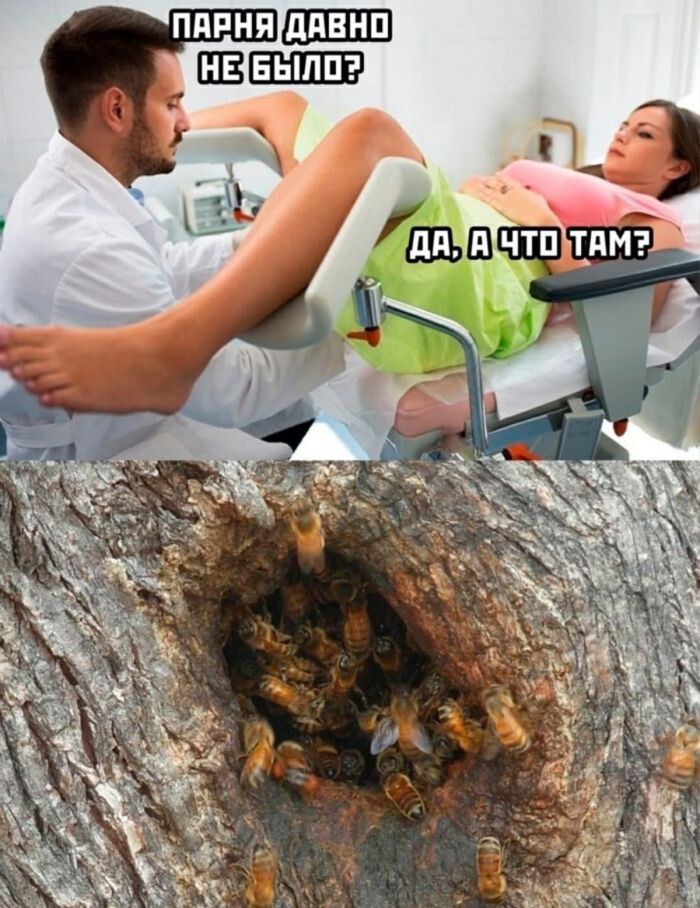 ПАРНЯ ДАВНО НЕ БЫЛО? ДА, А ЧТО ТАМ?