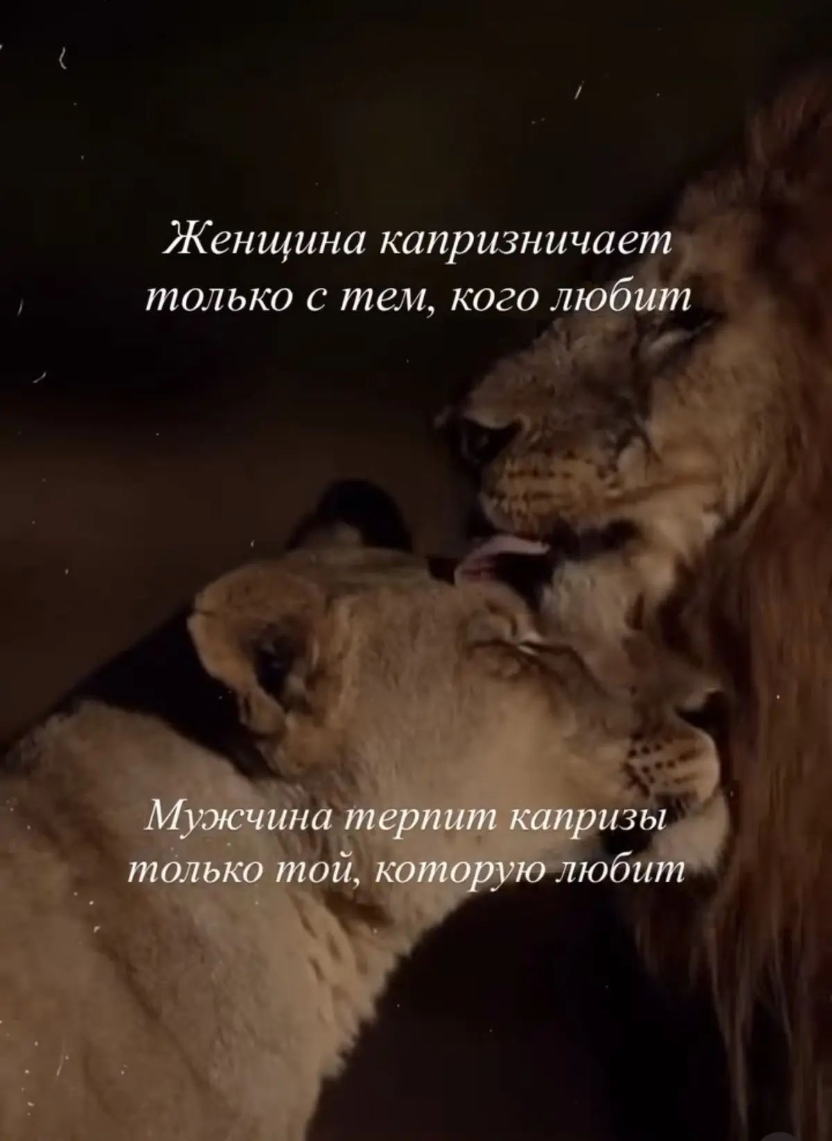 Женщина капризничает только с тем, кого любит. Мужчина терпит капризы только той, которую любит.