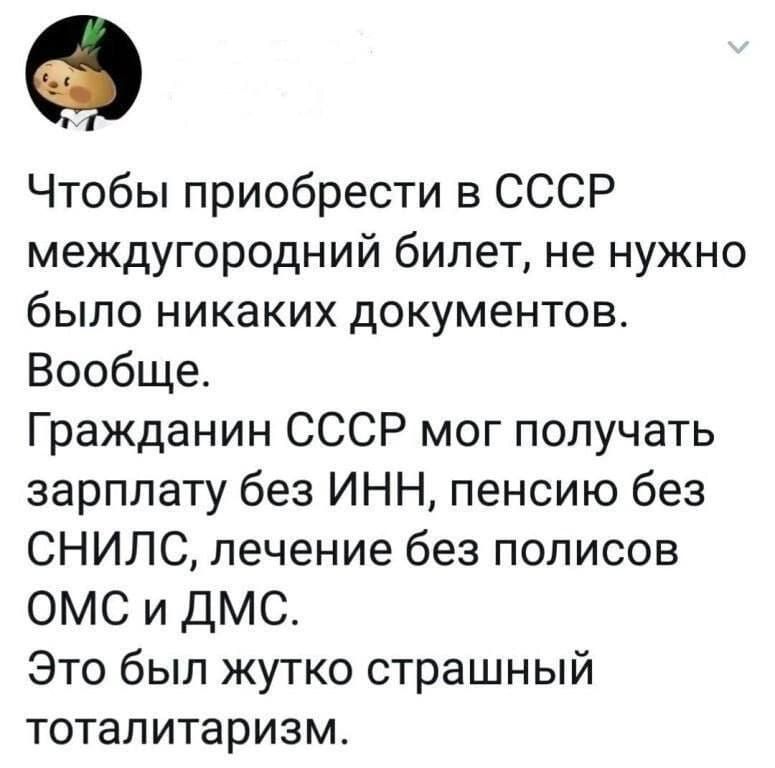 Чтобы приобрести в СССР междугородний билет, не нужно было никаких документов. Вообще. Гражданин СССР мог получать зарплату без ИНН, пенсию без СНИЛС, лечение без полисов ОМС и ДМС. Это был жутко страшный тоталитаризм.