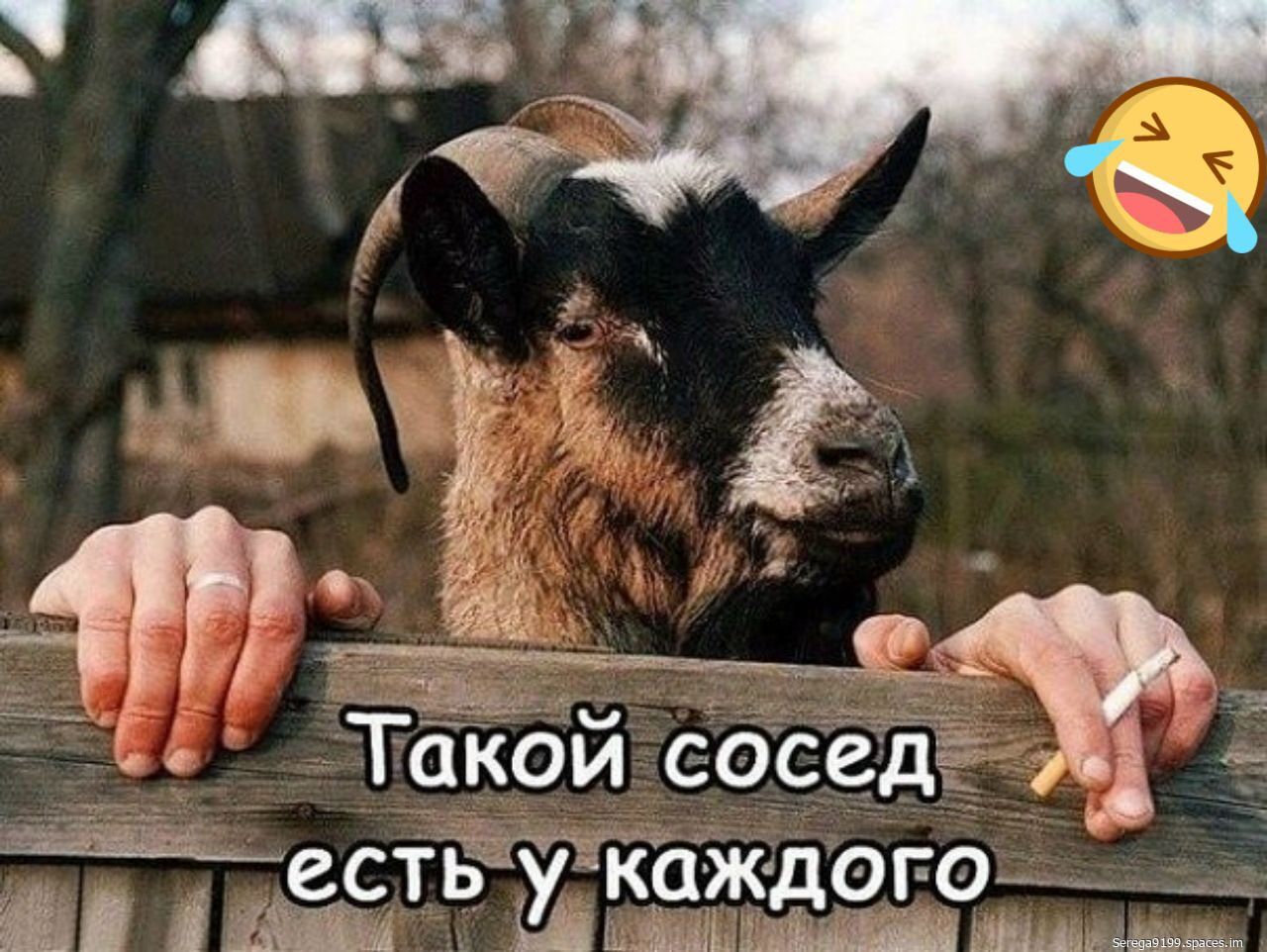 Такой сосед есть у каждого