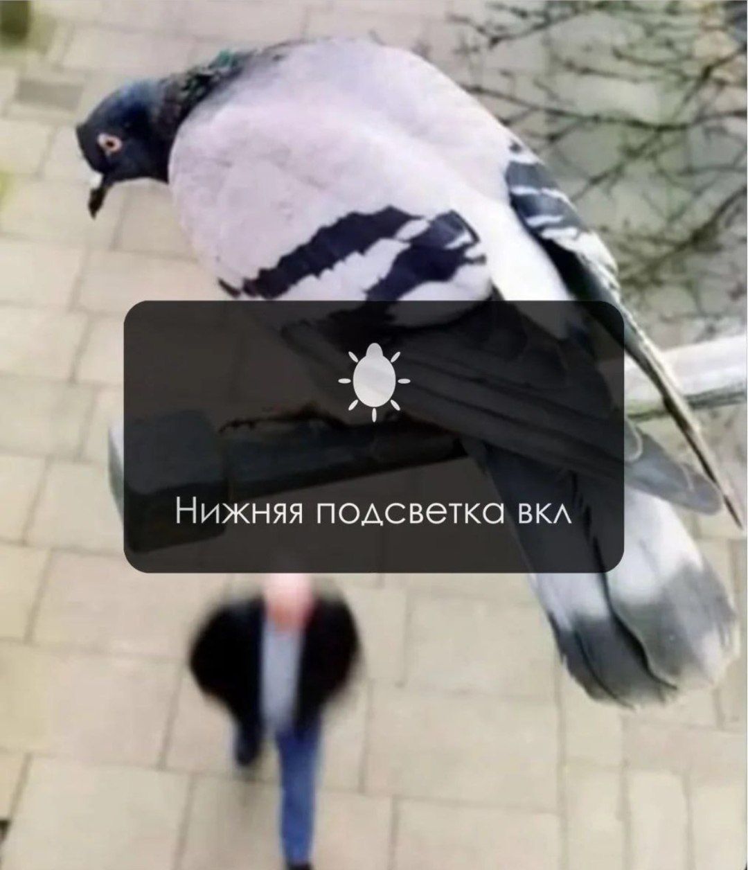 Нижняя подсветка вкл