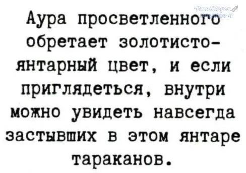 Аура просветленного обретает золотисто-янтарный цвет, и если приглядеться, внутри можно увидеть навсегда застывших в этом янтаре тараканов.
