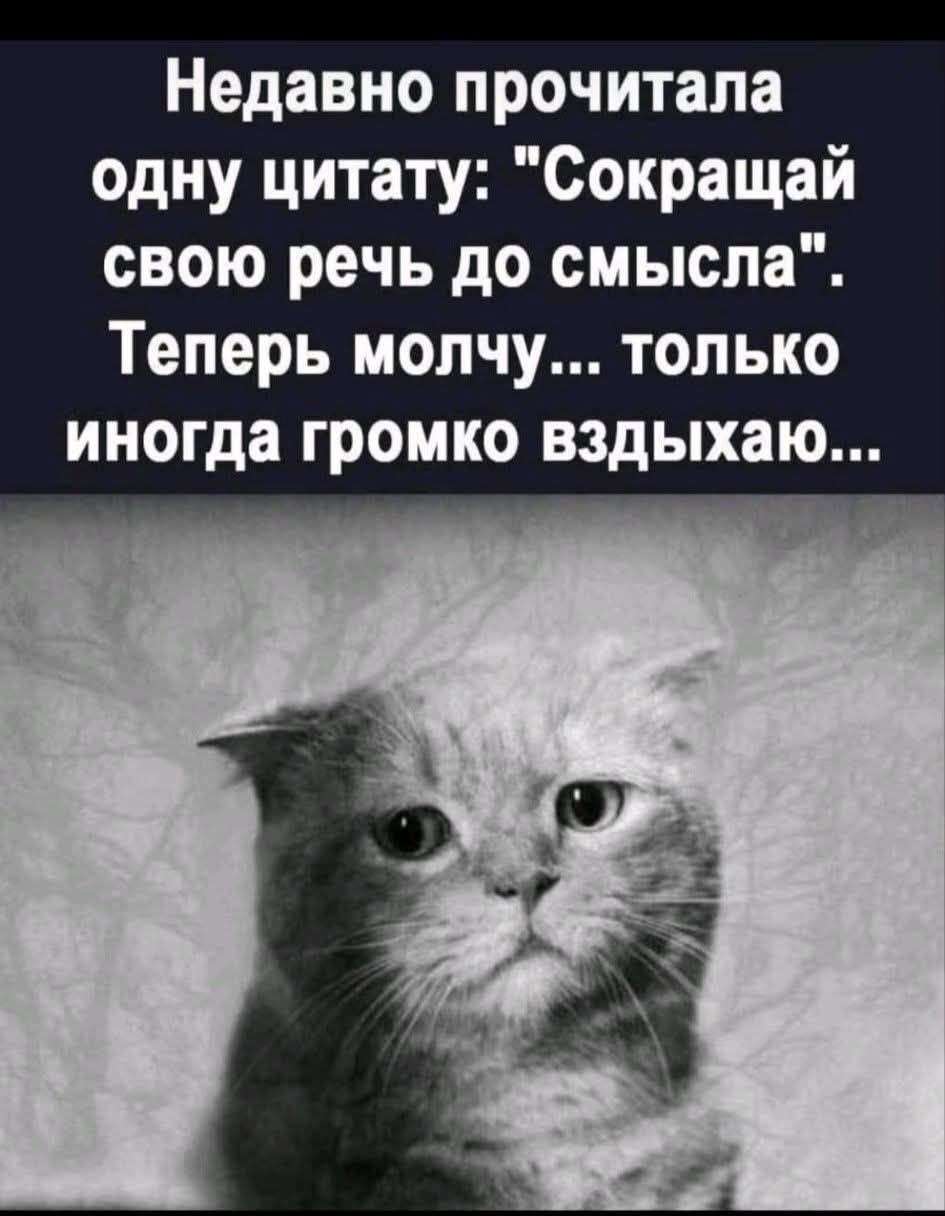 Недавно прочитала одну цитату: 
