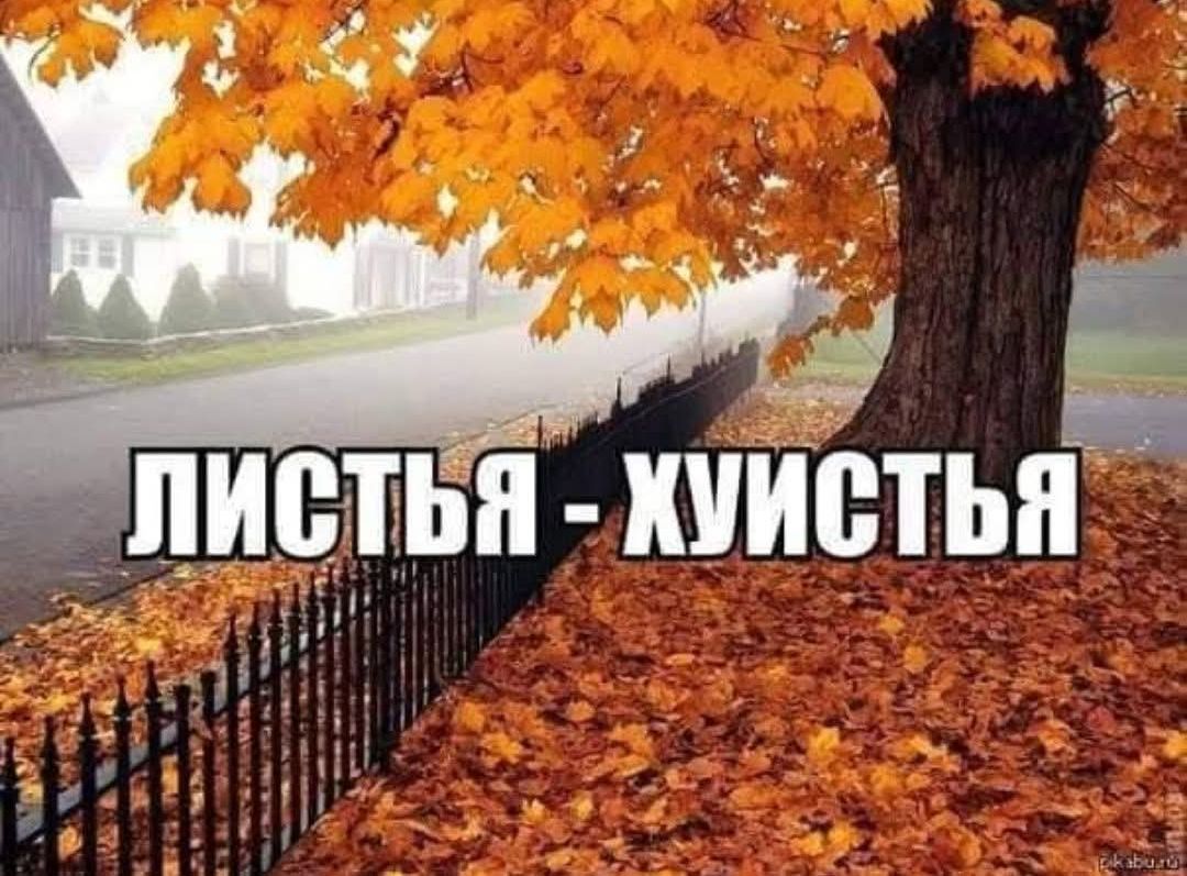 ЛИСТЬЯ - ХУИСТЬЯ