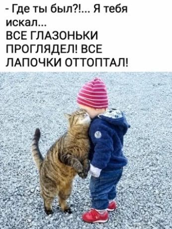 - Где ты был?!... Я тебя искал... ВСЕ ГЛАЗОНЬКИ ПРОГЛЯДЕЛ! ВСЕ ЛАПОЧКИ ОТТОПТАЛ!