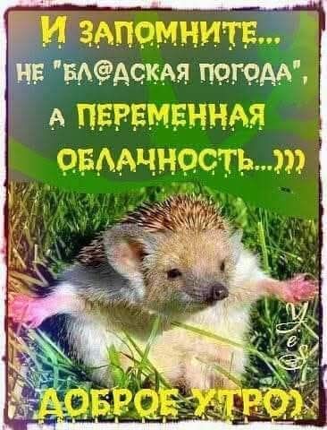 И ЗАПОМНИТЕ... НЕ 