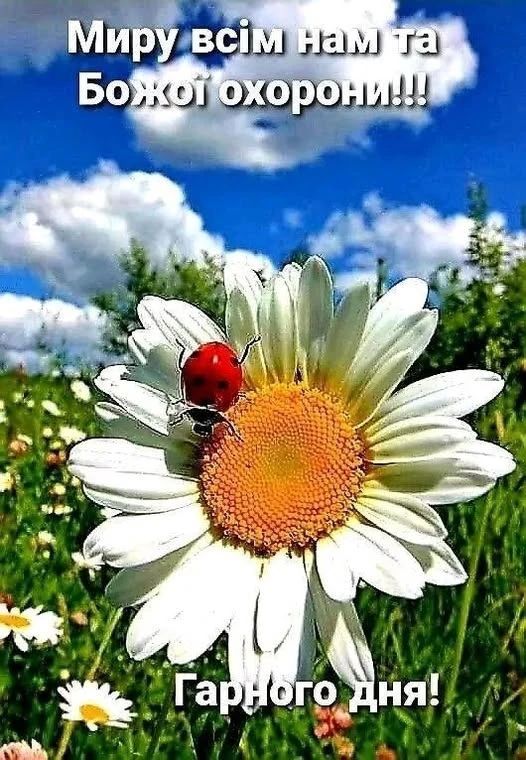 Мира всем нам и Божьей защиты!!! Хорошего дня!