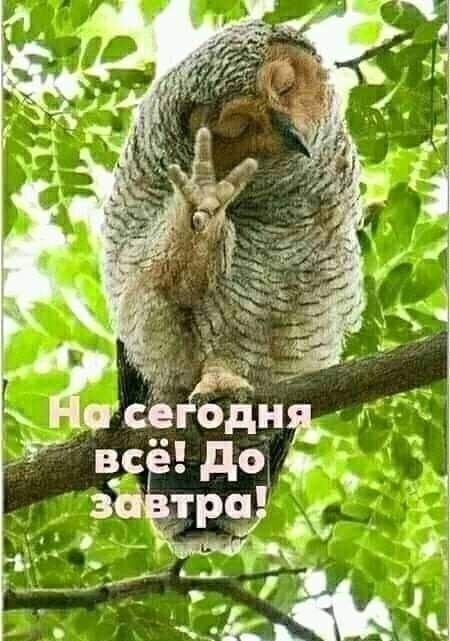 На сегодня всё! До завтра!