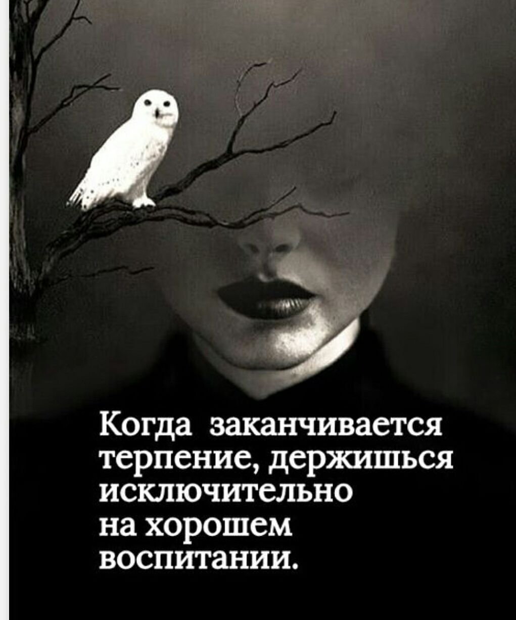 Когда заканчивается терпение, держишься исключительно на хорошем воспитании.