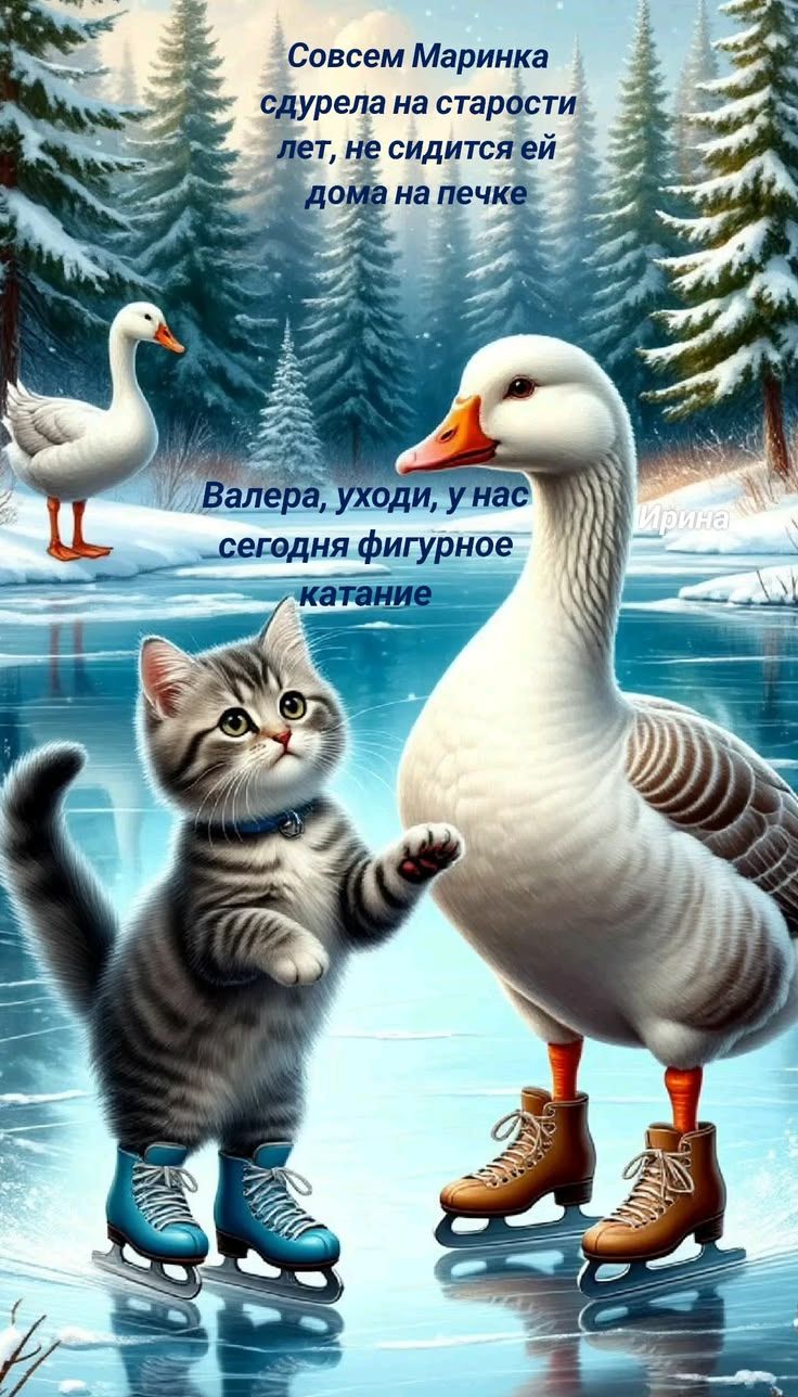 Совсем Маринка сдурела на старости лет, не сидится ей дома на печке. Валера, уходи, у нас сегодня фигурное катание
