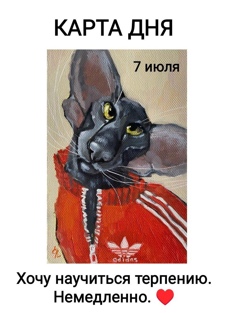 КАРТА ДНЯ 7 июля Хочу научиться терпению. Немедленно. adidas