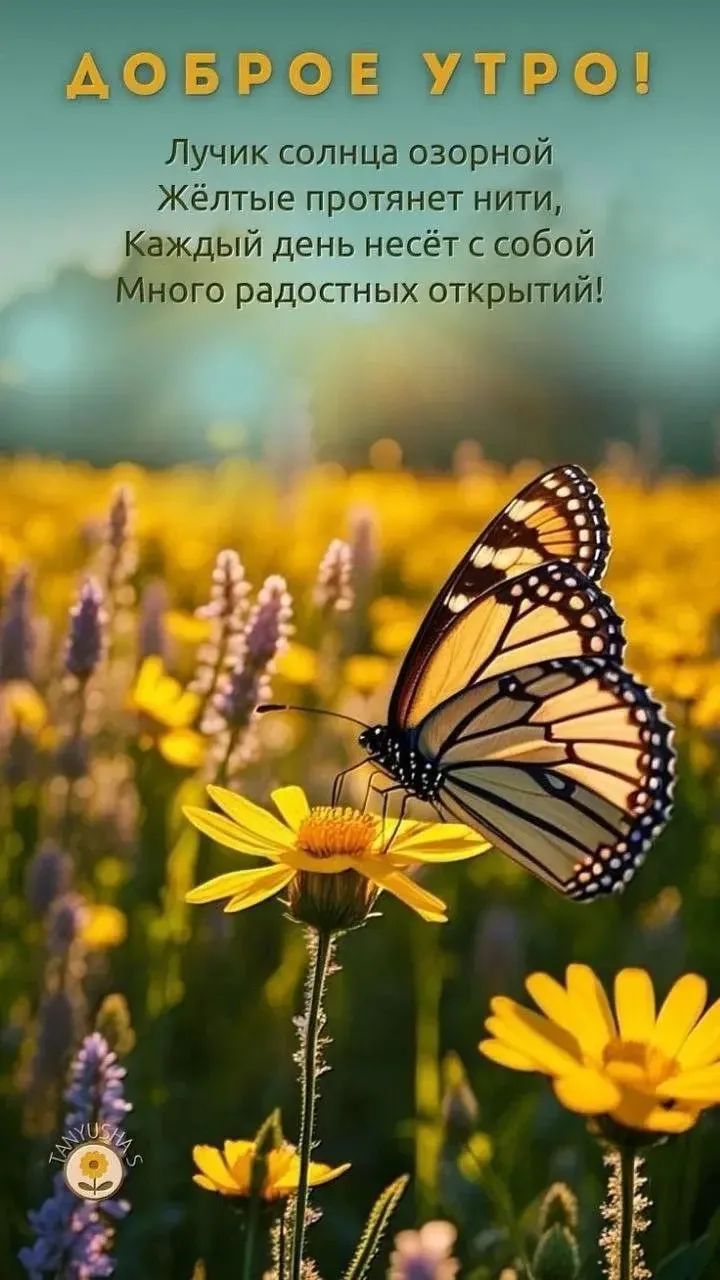 ДОБРОЕ УТРО! Лучик солнца озорной Жёлтые протянет нити, Каждый день несёт с собой Много радостных открытий!