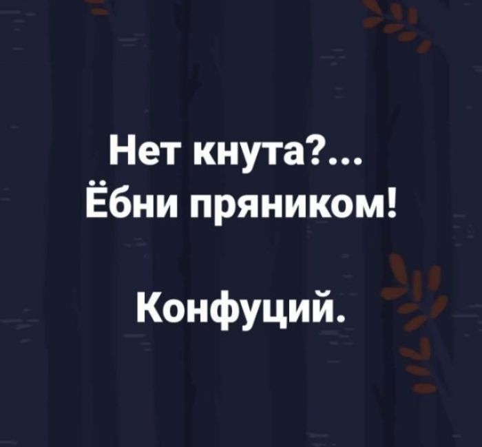 Нет кнута?... Ёбни пряником! Конфуций.