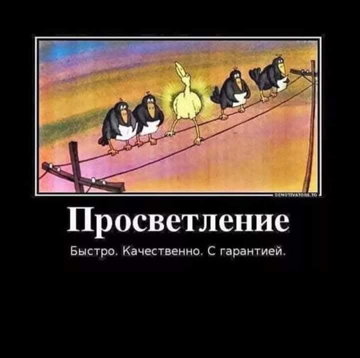 Просветление Быстро. Качественно. С гарантией.