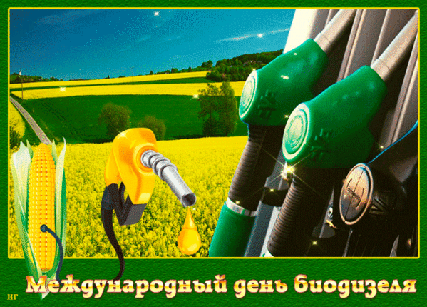 Международный день биодизеля НГ