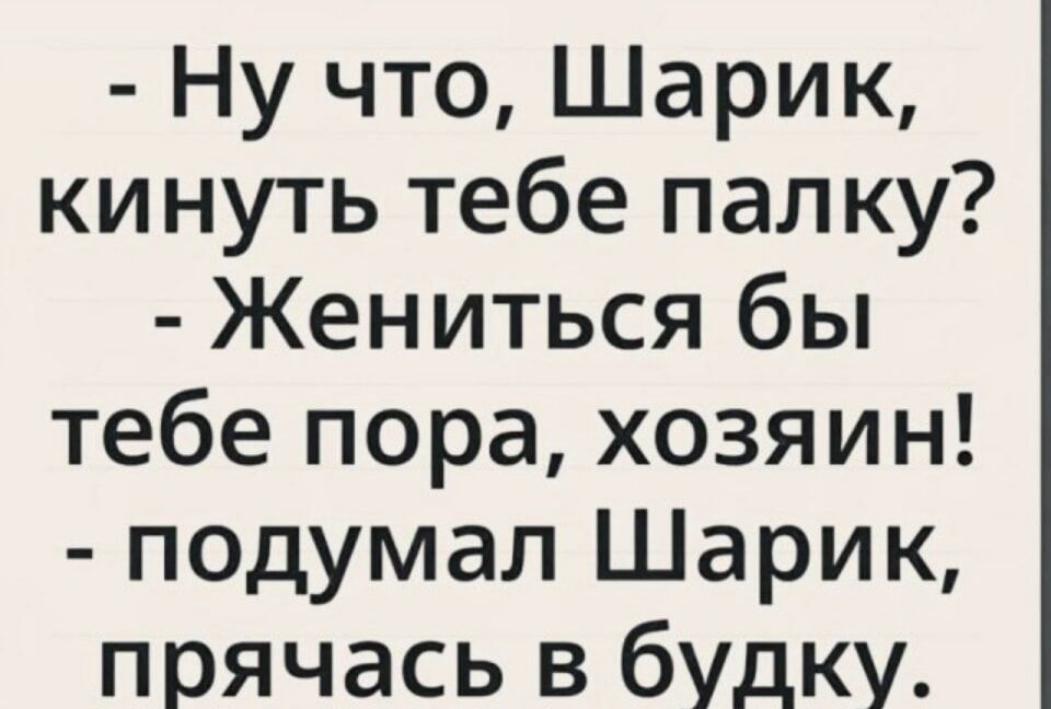 - Ну что, Шарик, кинуть тебе палку? - Жениться бы тебе пора, хозяин! - подумал Шарик, прячась в будку.