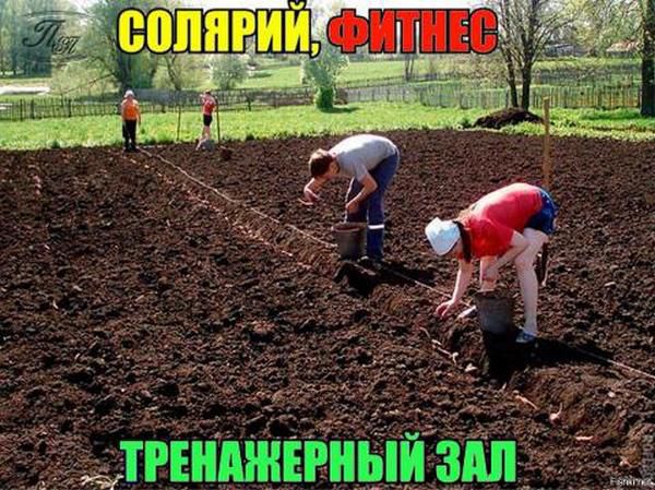 СОЛЯРИЙ, ФИТНЕС ТРЕНАЖЕРНЫЙ ЗАЛ
