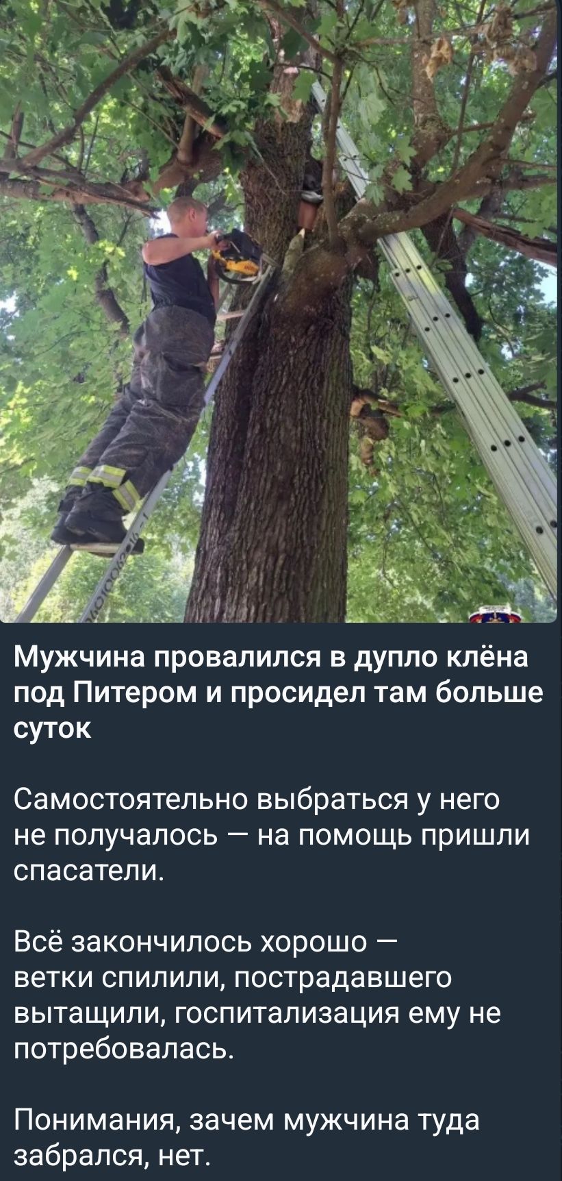 Мужчина провалился в дупло клёна под Питером и просидел там больше суток
Самостоятельно выбраться у него не получалось — на помощь пришли спасатели.
Всё закончилось хорошо — ветки спилили, пострадавшего вытащили, госпитализация ему не потребовалась.
Понимания, зачем мужчина туда забрался, нет.