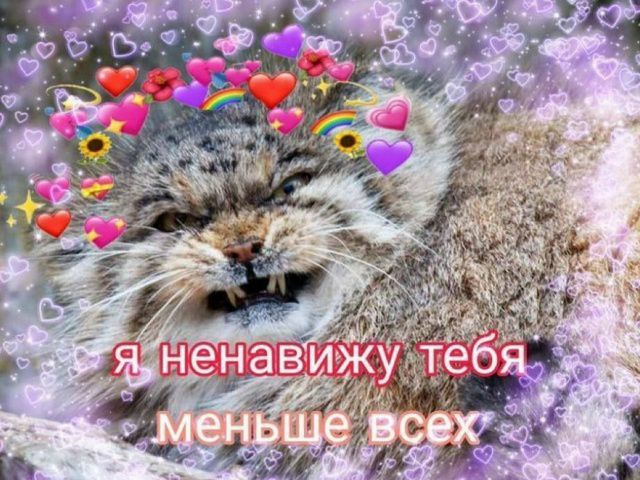 Я ненавижу тебя меньше всех