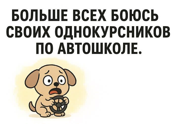 БОЛЬШЕ ВСЕХ БОЮСЬ СВОИХ ОДНОКУРСНИКОВ ПО АВТОШКОЛЕ.