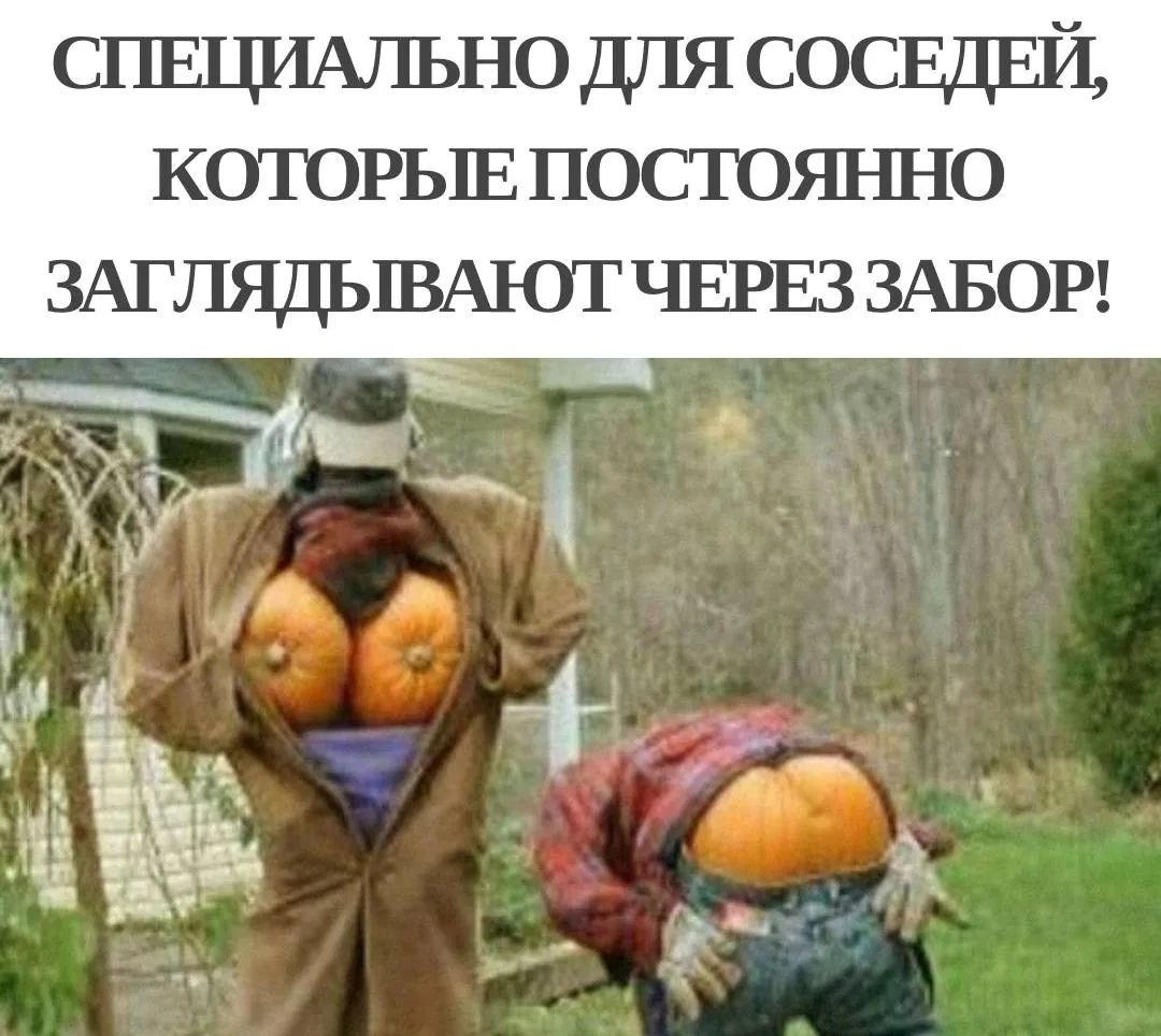 СПЕЦИАЛЬНО ДЛЯ СОСЕДЕЙ, КОТОРЫЕ ПОСТОЯННО ЗАГЛЯДЫВАЮТ ЧЕРЕЗ ЗАБОР!