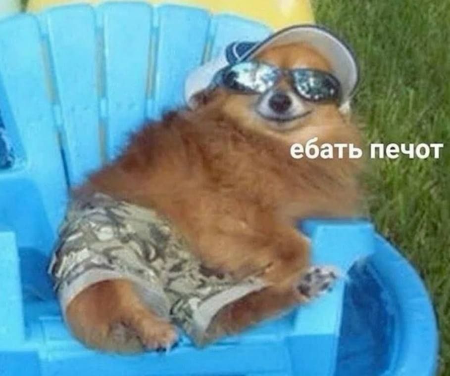 ебать печот