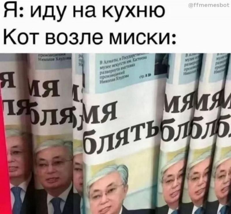 Я: иду на кухню Кот возле миски: мямям блятьблбл