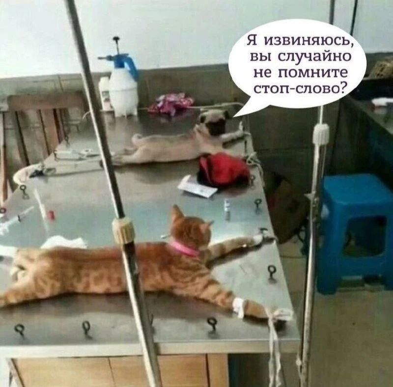 Я извиняюсь, вы случайно не помните стоп-слово?