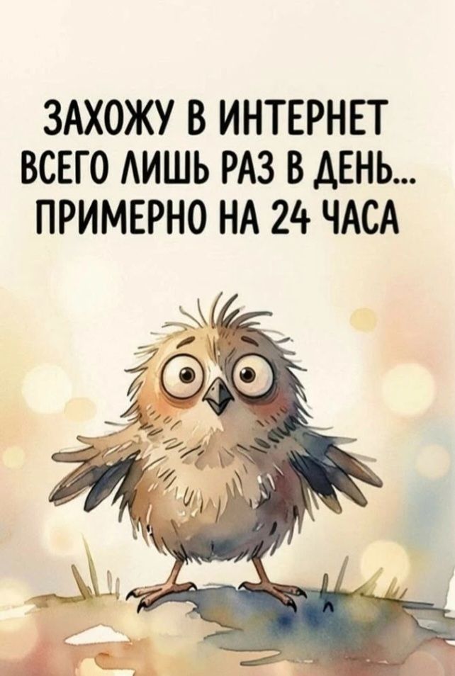 ЗАХОЖУ В ИНТЕРНЕТ ВСЕГО ЛИШЬ РАЗ В ДЕНЬ... ПРИМЕРНО НА 24 ЧАСА