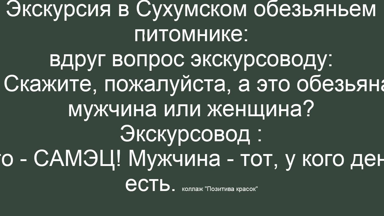 Экскурсия в Сухумском обезьяньем питомнике:
вдруг вопрос экскурсоводу:
Скажите, пожалуйста, а это обезьяна мужчина или женщина?
Экскурсовод:
- САМЭЦ! Мужчина - тот, у кого деньги есть.
коллаж 