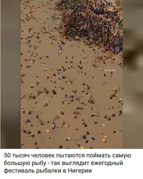 50 тысяч человек пытаются поймать самую большую рыбу - так выглядит ежегодный фестиваль рыбалки в Нигерии
