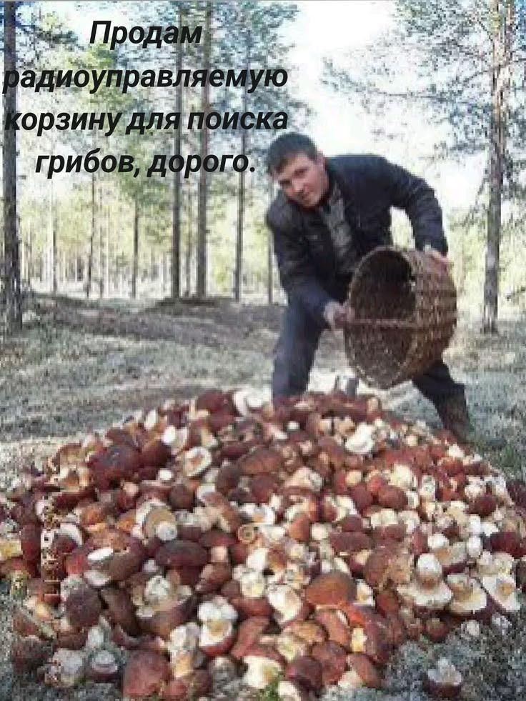 Продам радиоуправляемую корзину для поиска грибов, дорого.