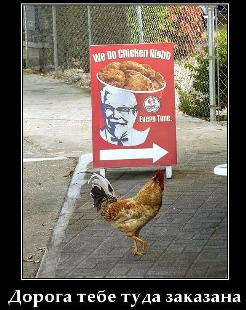 We Do Chicken Right Every Time. Дорога тебе туда заказана