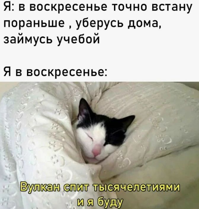 Я: в воскресенье точно встану пораньше, уберусь дома, займусь учебой. Я в воскресенье: Вулкан спит тысячелетиями и я буду