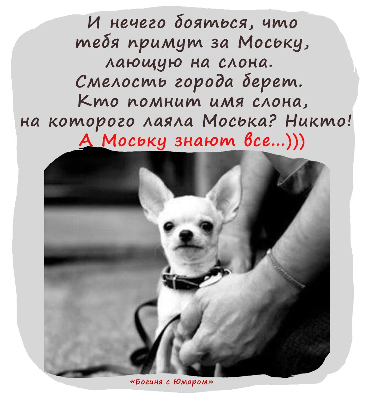 И нечего бояться, что тебя примут за Моську, лающую на слона. Смелость города берет. Кто помнит имя слона, на которого лаяла Моська? Никто! А Моську знают все...))) «Богиня с Юмором»