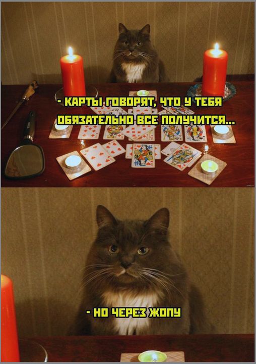 КАРТЫ ГОВОРЯТ, ЧТО У ТЕБЯ ОБЯЗАТЕЛЬНО ВСЕ ПОЛУЧИТСЯ... - НО ЧЕРЕЗ ЖОПУ