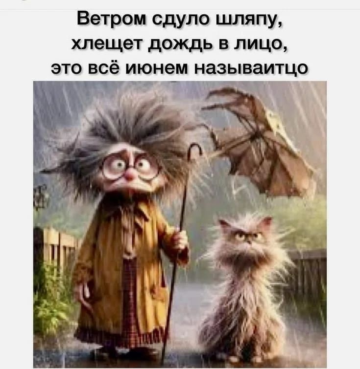Ветром сдуло шляпу, хлещет дождь в лицо, это всё июнем называитцо
