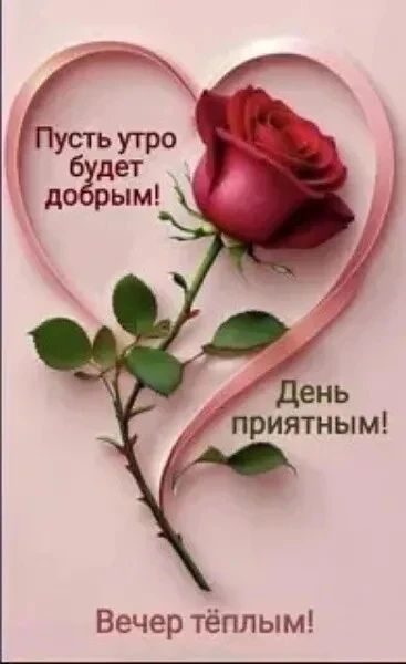 Пусть утро будет добрым! День приятным! Вечер тёплым!