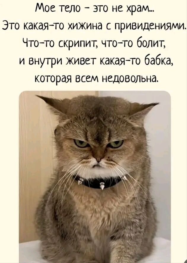Мое тело - это не храм...
Это какая-то хижина с привидениями.
Что-то скрипит, что-то болит,
и внутри живет какая-то бабка,
которая всем недовольна.