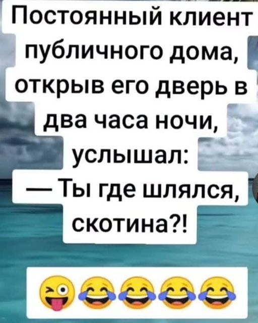 Постоянный клиент публичного дома, открыв его дверь в два часа ночи, услышал: — Ты где шлялся, скотина?!