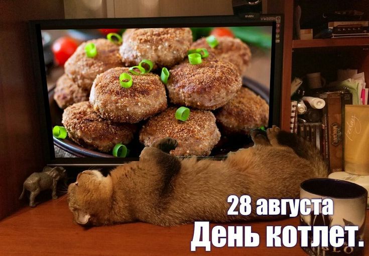 28 августа День котлет.