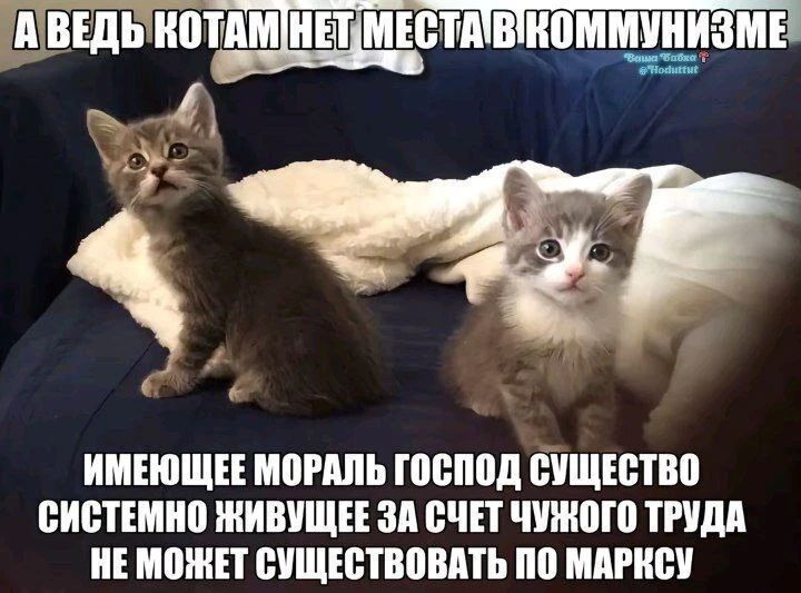 А ВЕДЬ КОТАМ НЕТ МЕСТА В КОММУНИЗМЕ ИМЕЮЩЕЕ МОРАЛЬ ГОСПОД СУЩЕСТВО СИСТЕМНО ЖИВУЩЕЕ ЗА СЧЕТ ЧУЖОГО ТРУДА НЕ МОЖЕТ СУЩЕСТВОВАТЬ ПО МАРКСУ