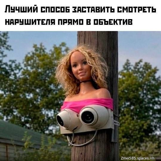 ЛУЧШИЙ СПОСОБ ЗАСТАВИТЬ СМОТРЕТЬ НАРУШИТЕЛЯ ПРЯМО В ОБЪЕКТИВ