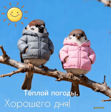 Тёплой погоды. Хорошего дня!