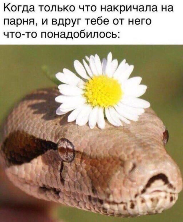 Когда только что накричала на парня, и вдруг тебе от него что-то понадобилось: