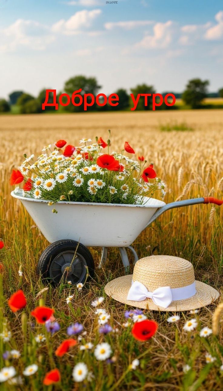 Доброе утро IN.LOVE